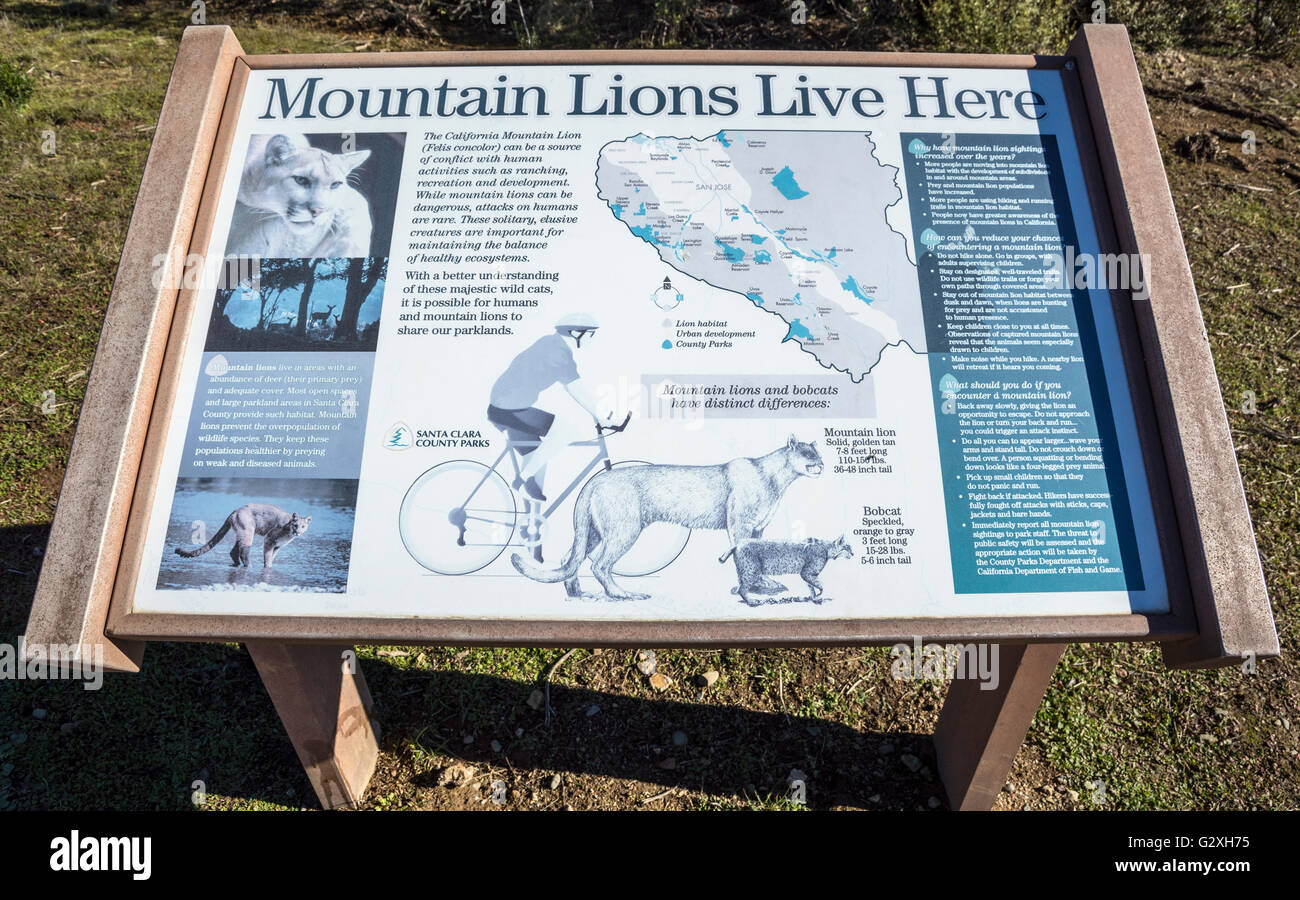 Kalifornien, Santa Clara County, Mountain Lion Informationen Warnzeichen Stockfoto