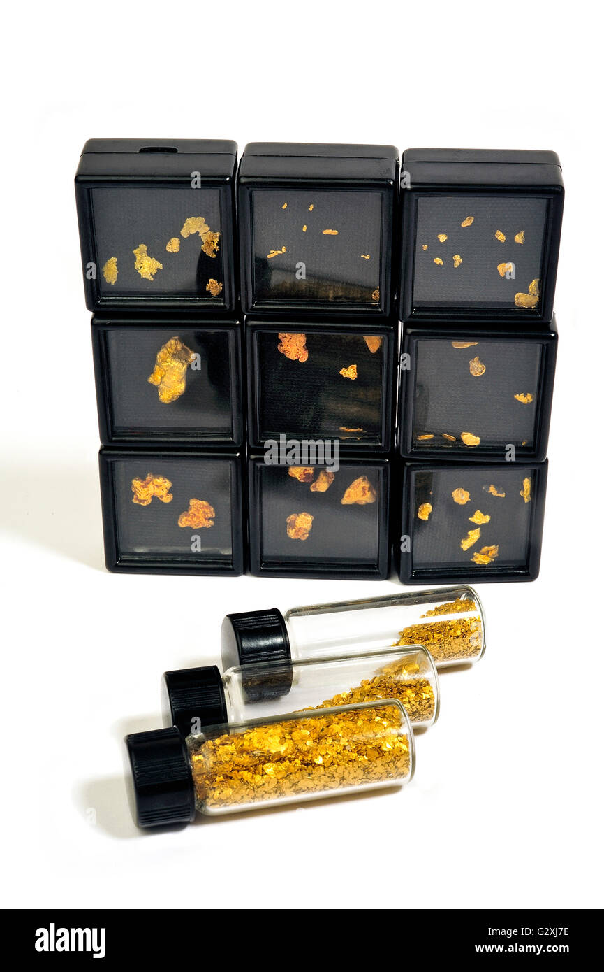 Gold-Nuggets Collection präsentiert in kleinen Präsentationsboxen Stockfoto