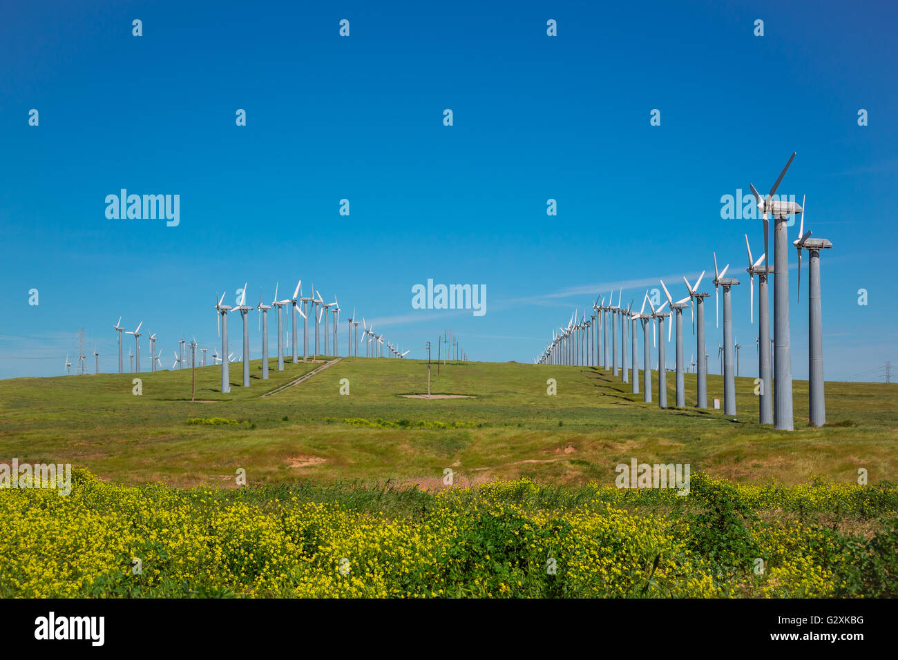 Windmühle Stromerzeuger an einem sonnigen Tag Stockfoto