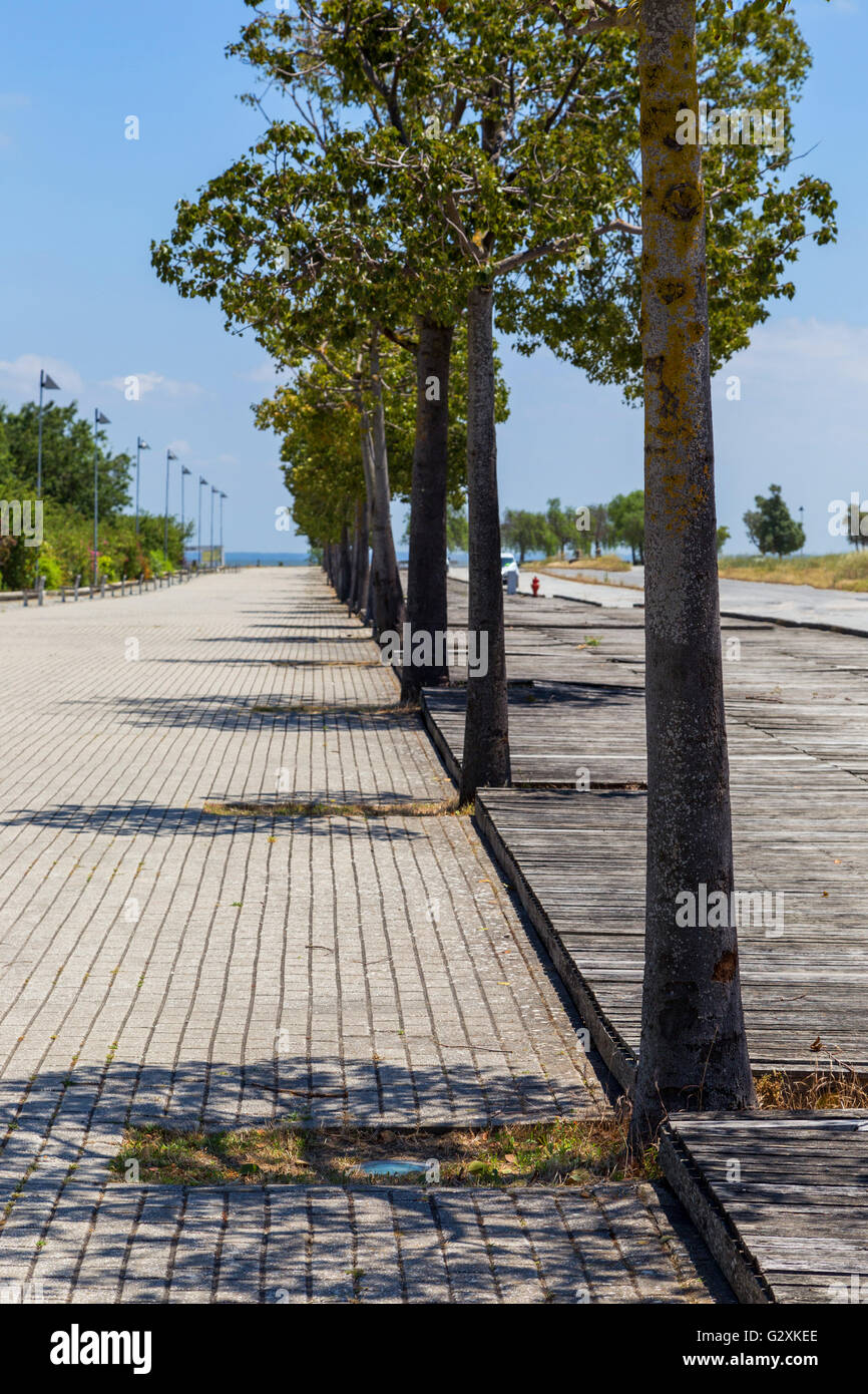 Parkanlage mit Pflanzen für entspannen Sie im Sommer Stadt Stockfoto