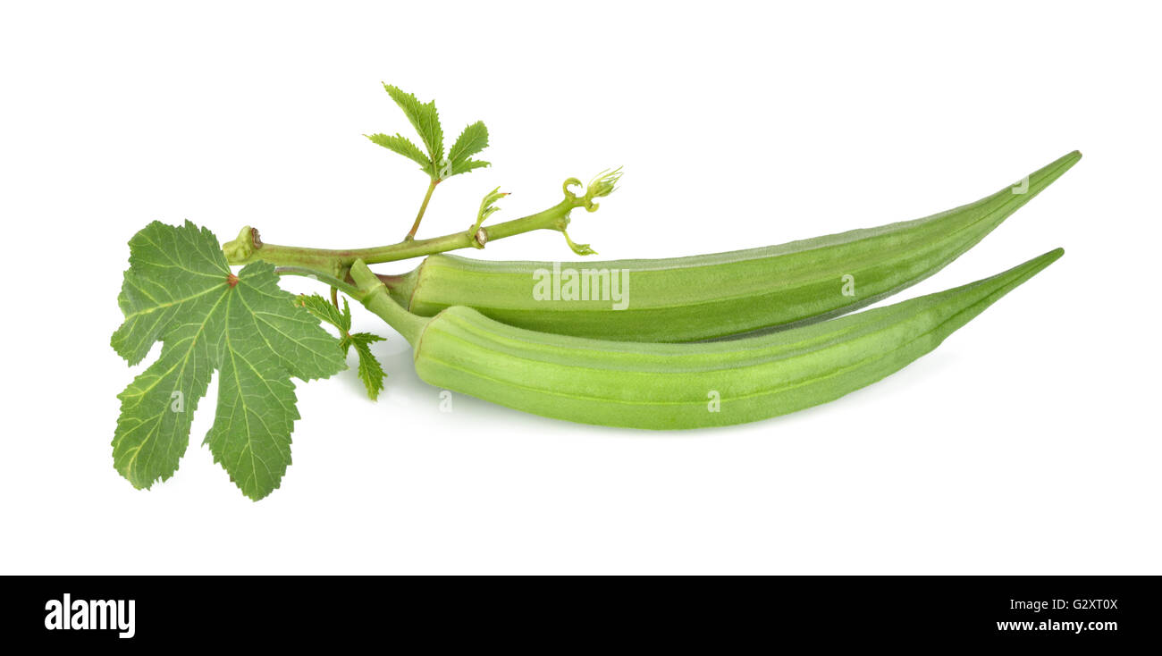 frische Okra oder grüne Roselle auf weißem Hintergrund. Stockfoto