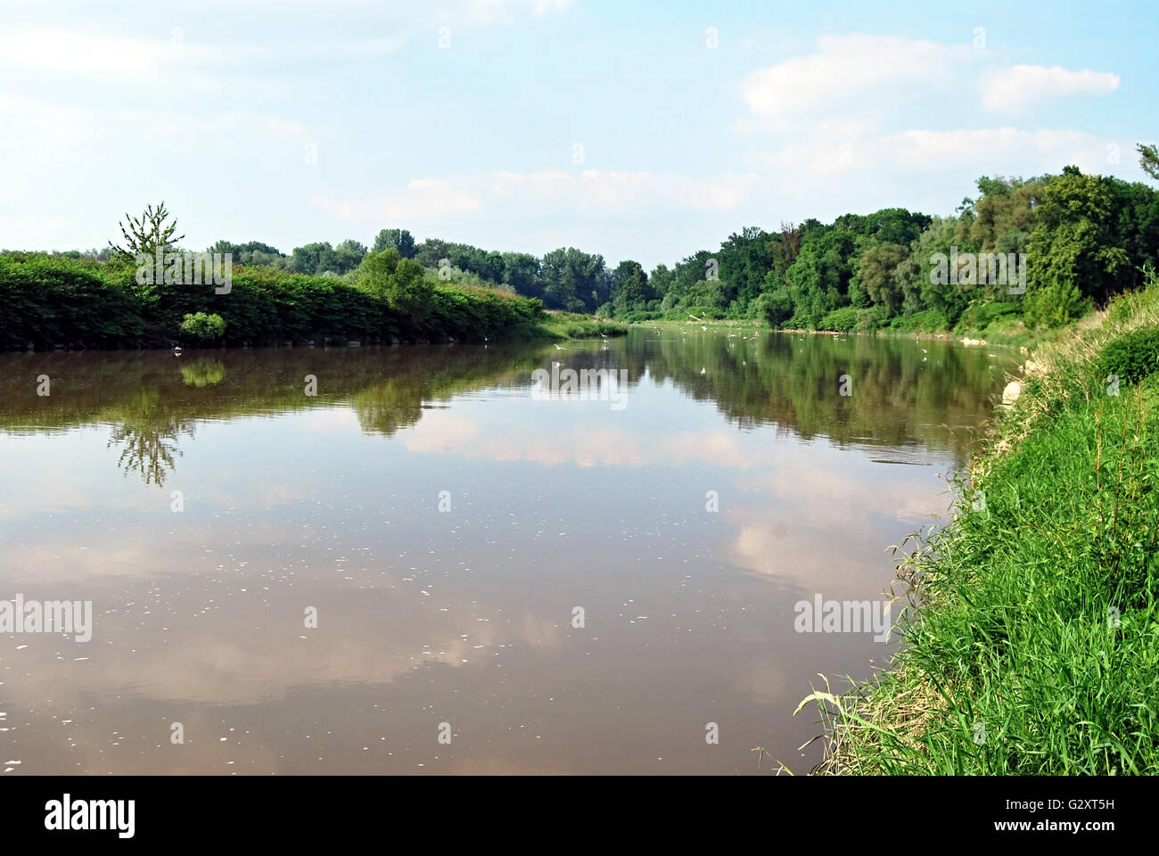 Mäander des Odra Flusses an tschechisch-polnischen Grenze in der Nähe von Bohumín Stadt Stockfoto