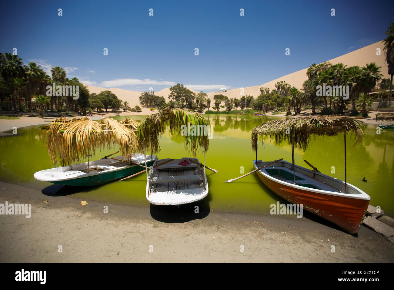 Oase, umgeben von Sanddünen in der Nähe von Ica Peru Stockfoto