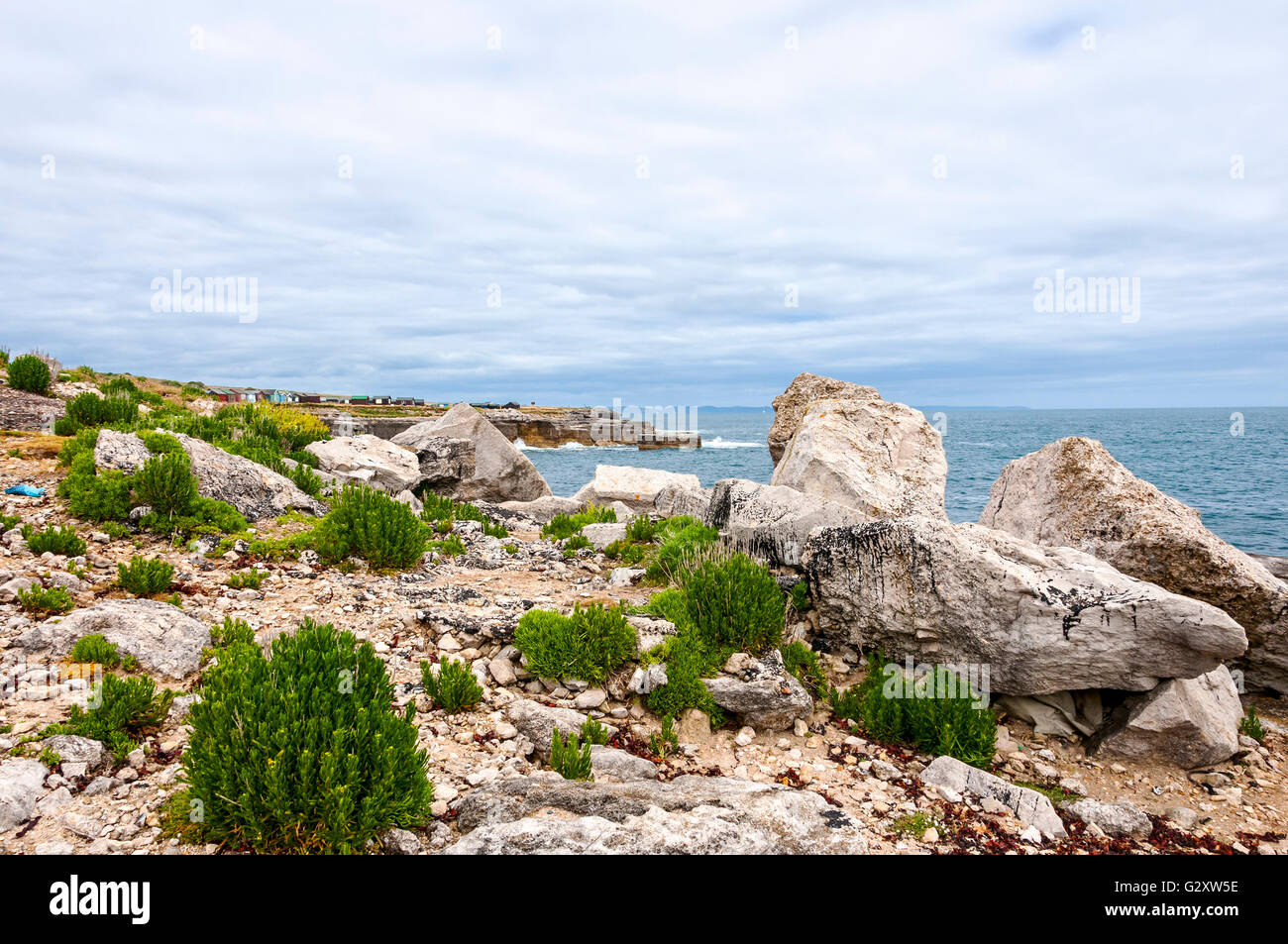 Grüne Pflanzen vermehren sich auf den felsigen Vorland gegenüber fernen Strandhütten auf der Klippe am Portland am südlichsten Punkt Stockfoto