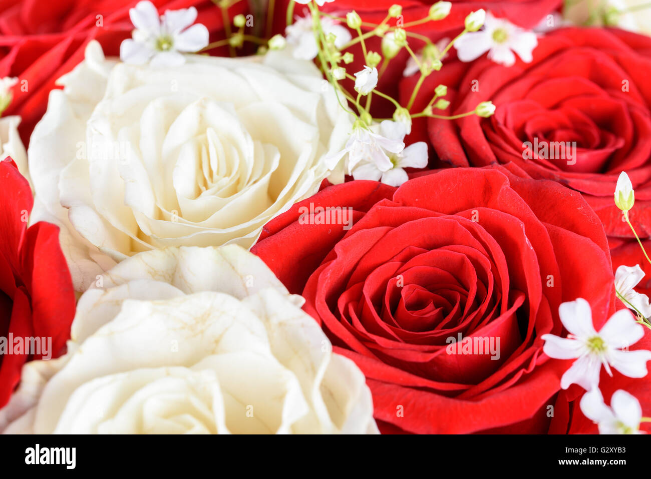 Roten und weißen Rosen Hochzeit Blumen Blumenstrauß Stockfoto