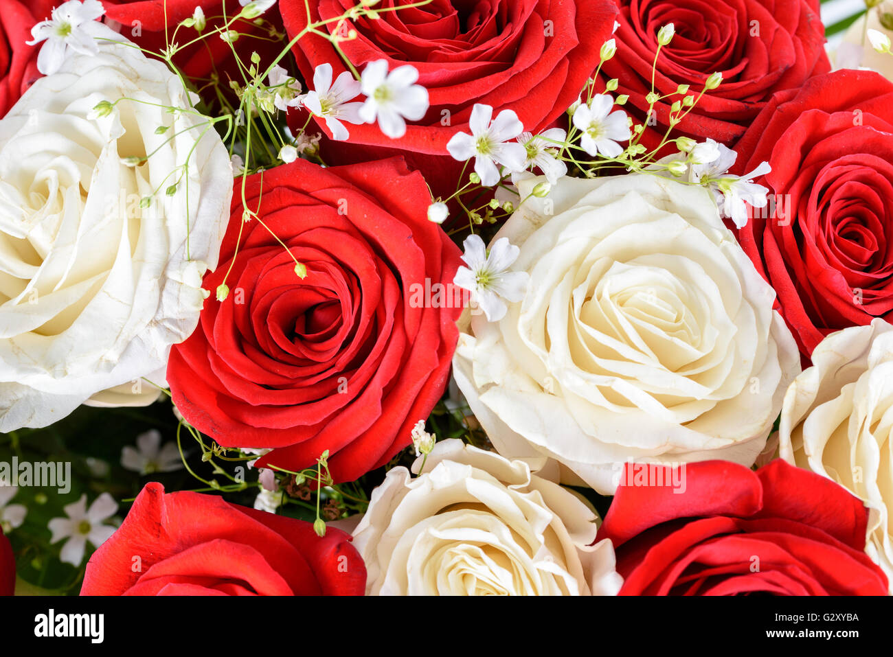 Roten und weißen Rosen Hochzeit Blumen Blumenstrauß Stockfoto
