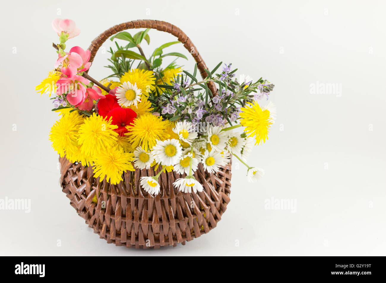 Blumenkorb machte der Flechtweide vor weißem Hintergrund Stockfoto