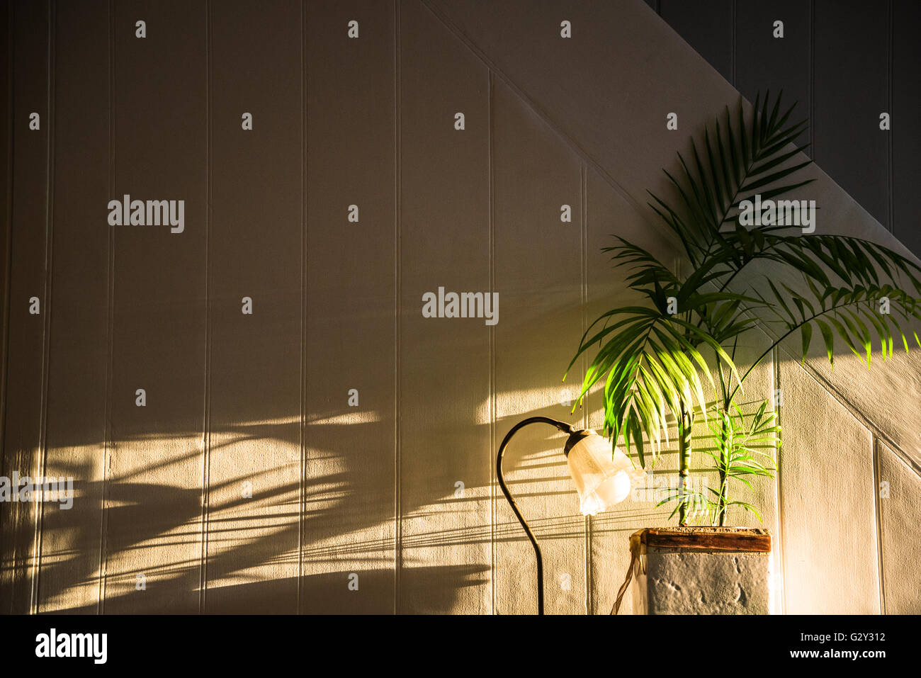 Innenraum mit Palme Pflanze und Seite Tischleuchte Stockfoto