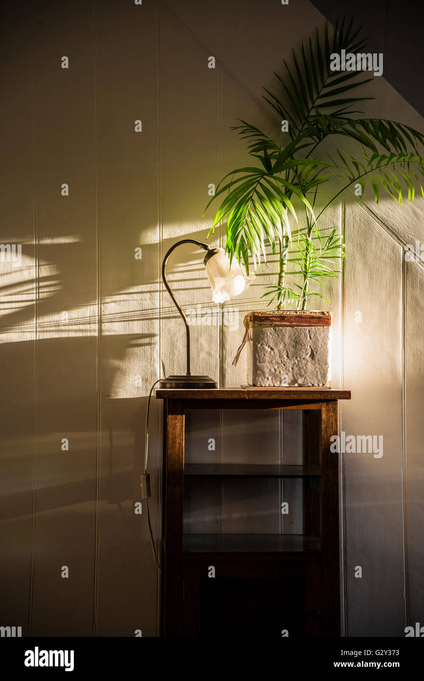 Innenraum mit Palme Pflanze und Seite Tischleuchte Stockfoto