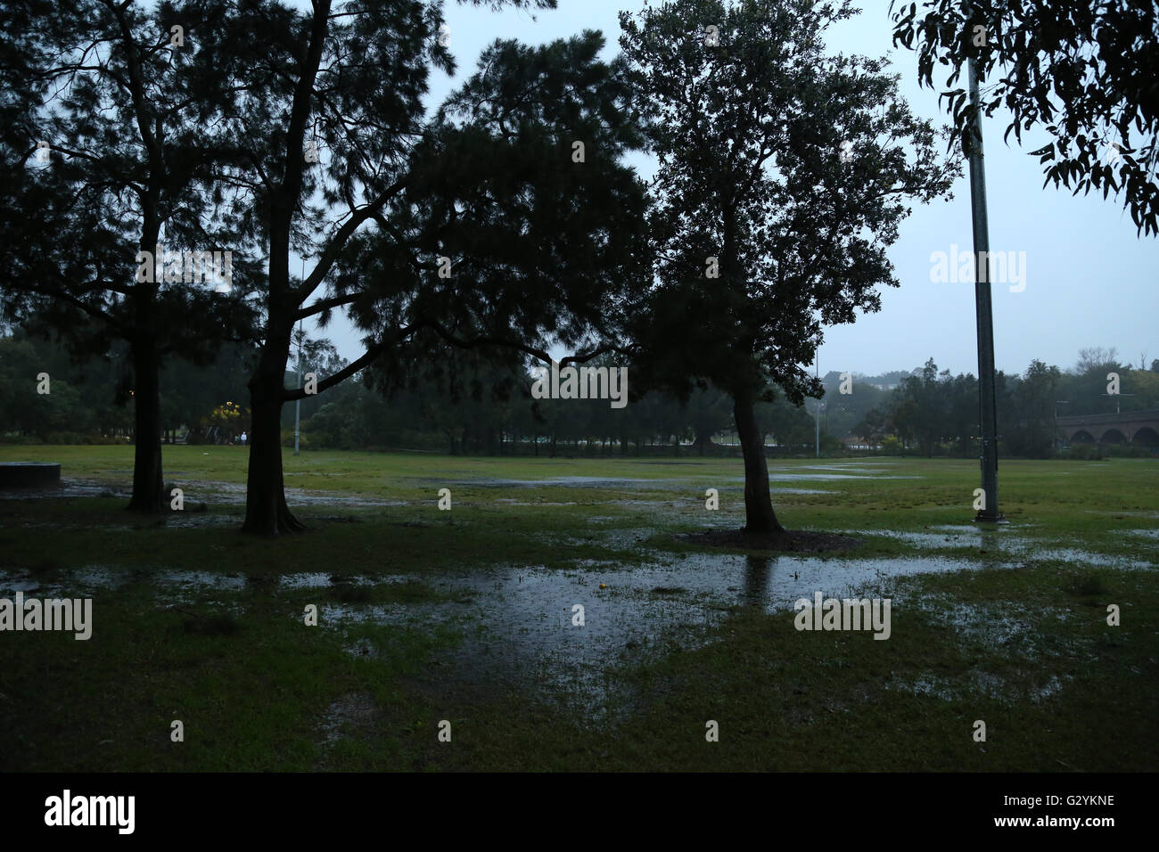 Sydney, Australien. 5. Juni 2016.  Schwere Stürme haben Sydney verursacht Überschwemmungen in einigen Bereichen getroffen. Im Bild: Überschwemmungen im Federal Park, Annandale. Bildnachweis: Richard Milnes/Alamy Live-Nachrichten Stockfoto