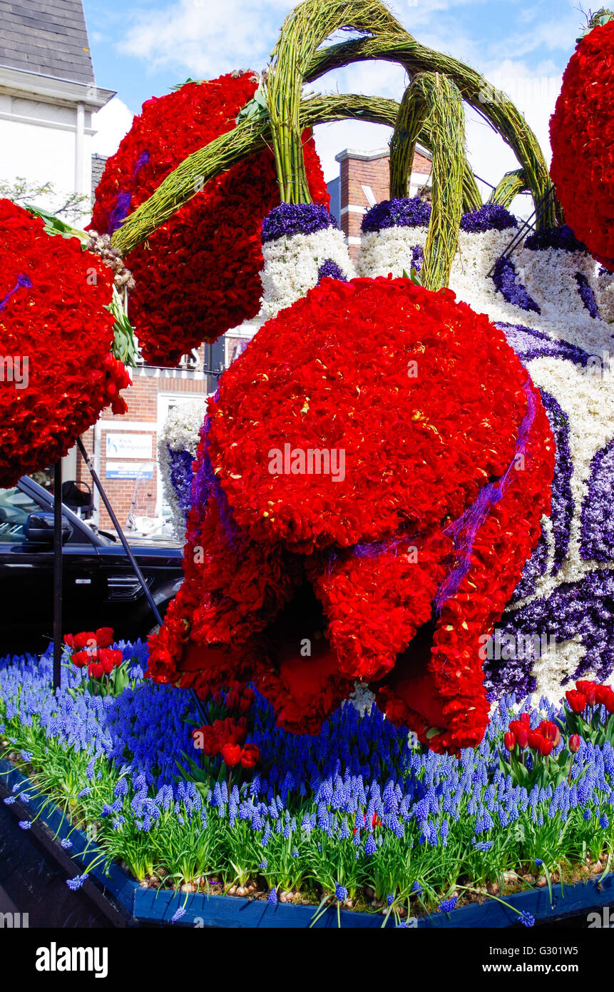 Blumenparade -Fotos und -Bildmaterial in hoher Auflösung – Alamy
