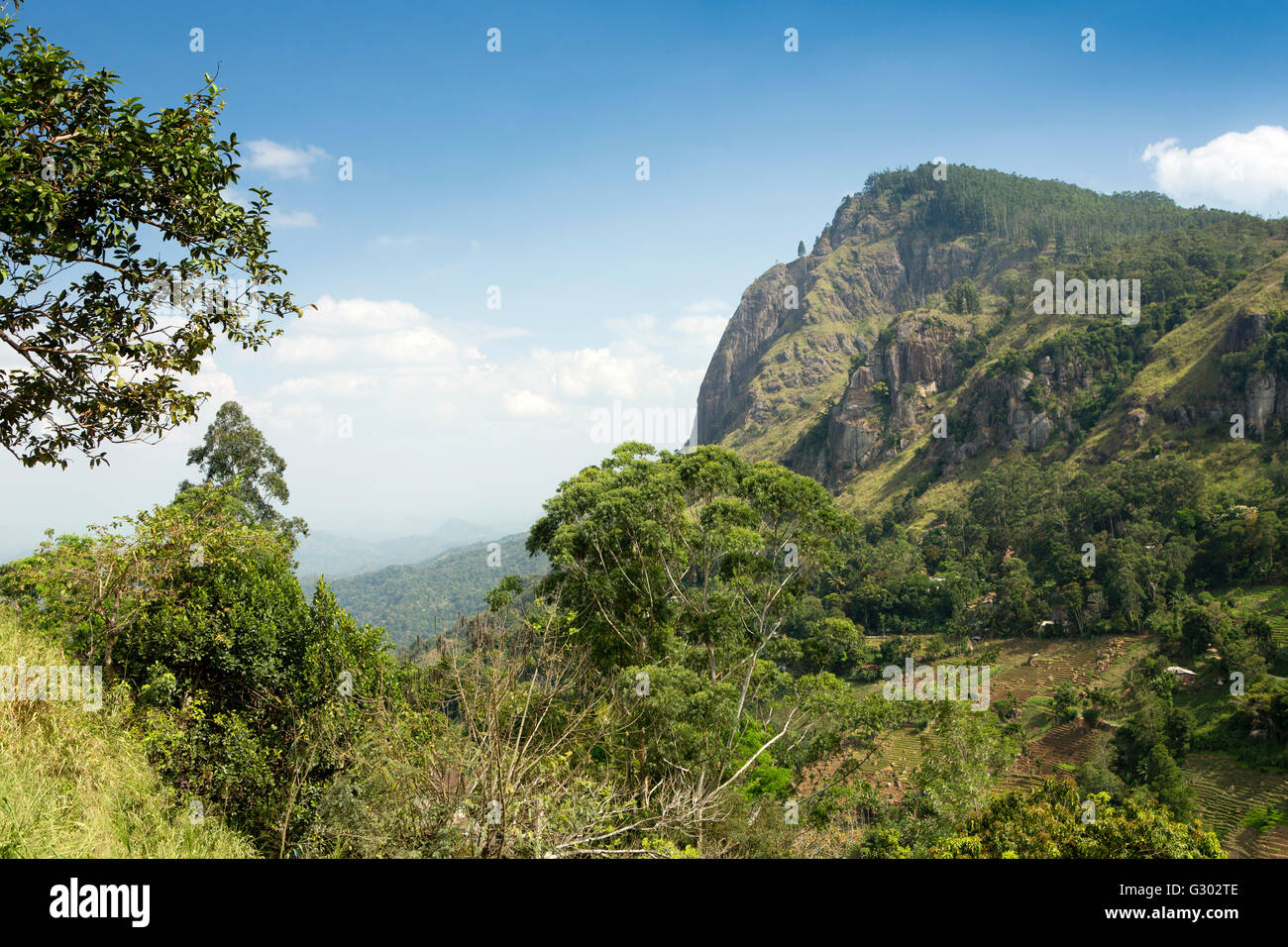 Sri Lanka, Ella Rock, schöne Aussicht vom Garten des CHC Ella Rest House Stockfoto