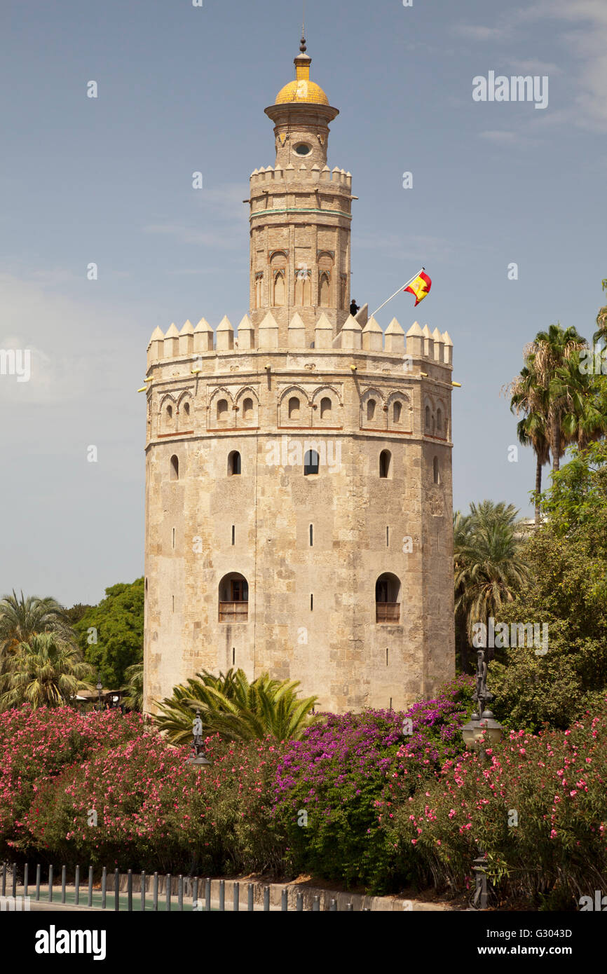 Torre del Oro Turm, Sevilla, Andalusien, Spanien, Europa, PublicGround Stockfoto