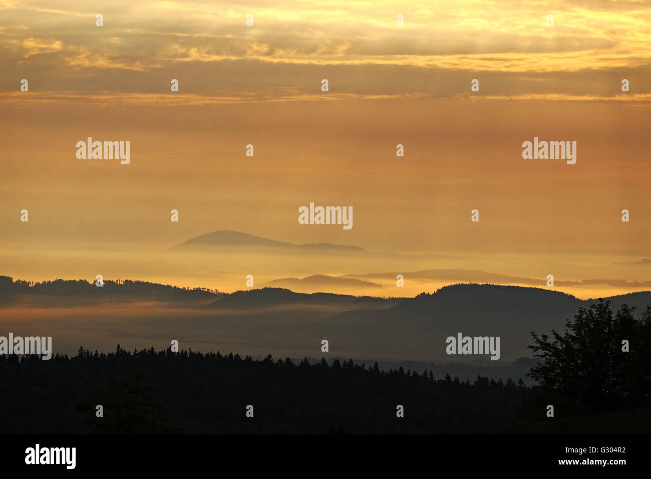 Bewaldeten Hügeln in der Morgensonne und Nebel Stockfoto