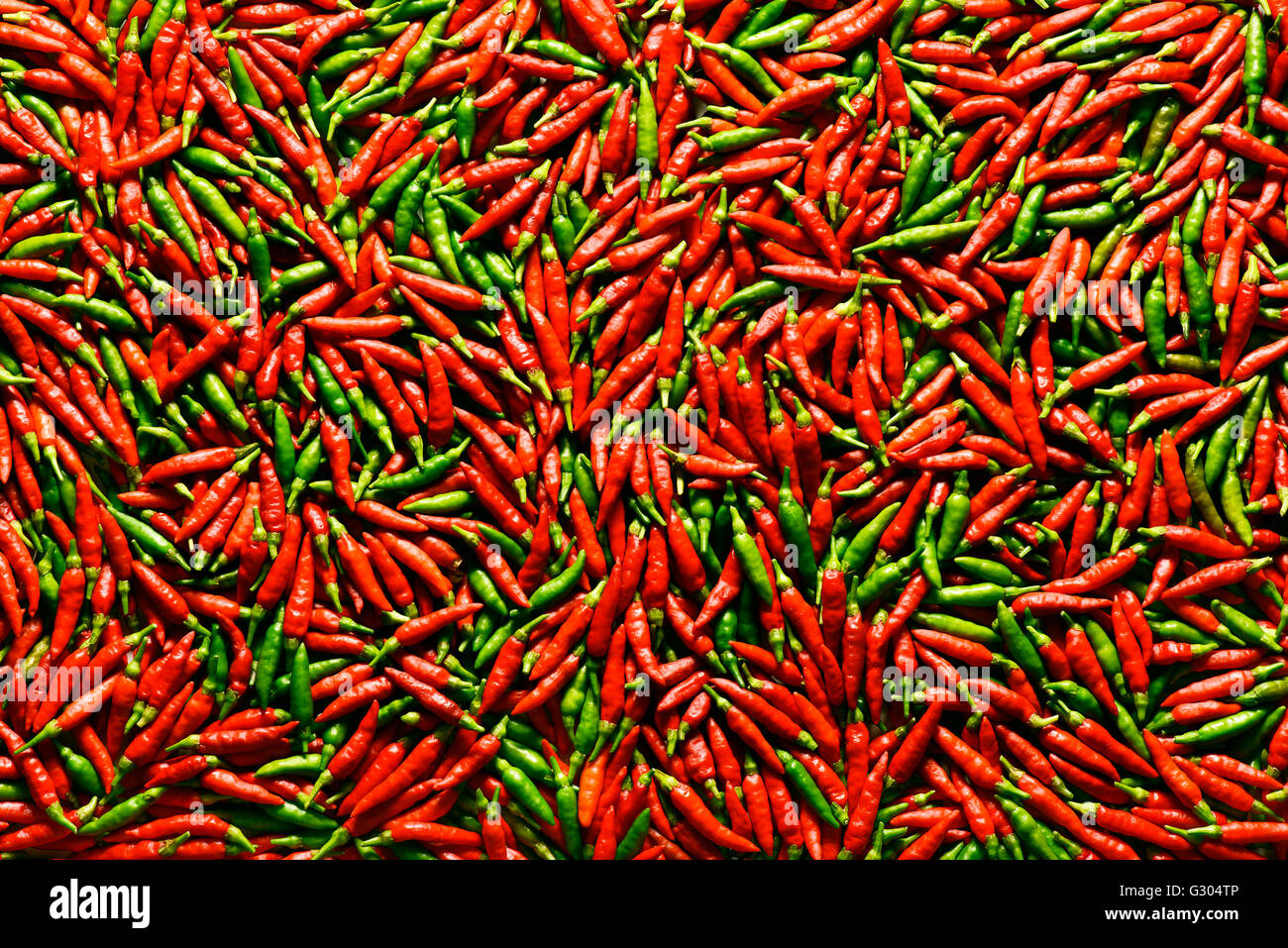 Rote und grüne Chilischoten. Stockfoto