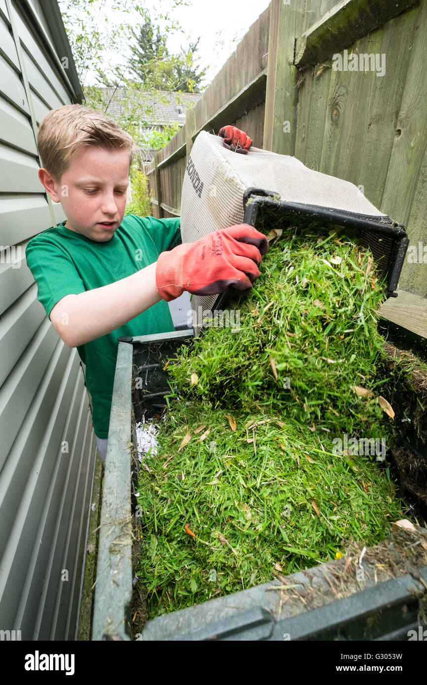 Ein Junge eine Biotonne Gras hinzufügen Stockfoto