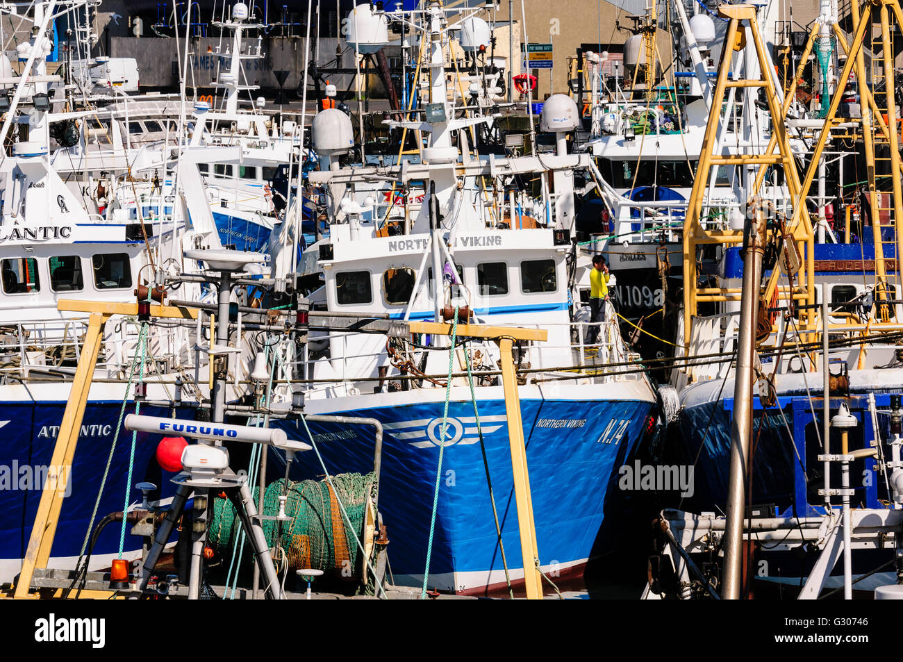 Viele der Trawler vertäut im Hafen von Kilkeel, Nordirland. Stockfoto