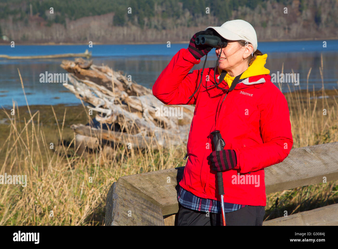 Vogelbeobachtung auf Sandpiper Weg, Grays Harbor National Wildlife Refuge, Washington Stockfoto