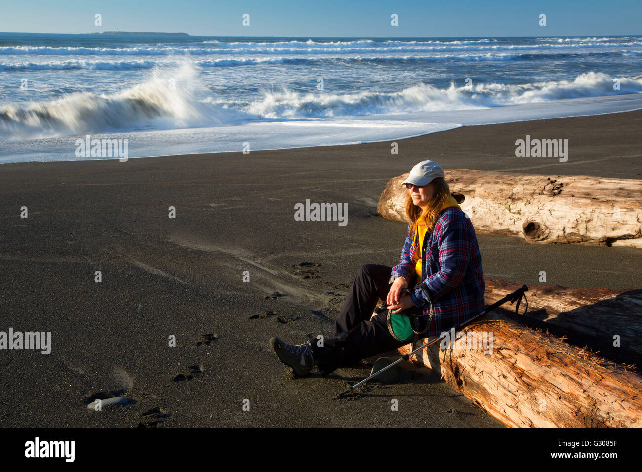 Strand 4, Olympic Nationalpark, Washington Stockfoto