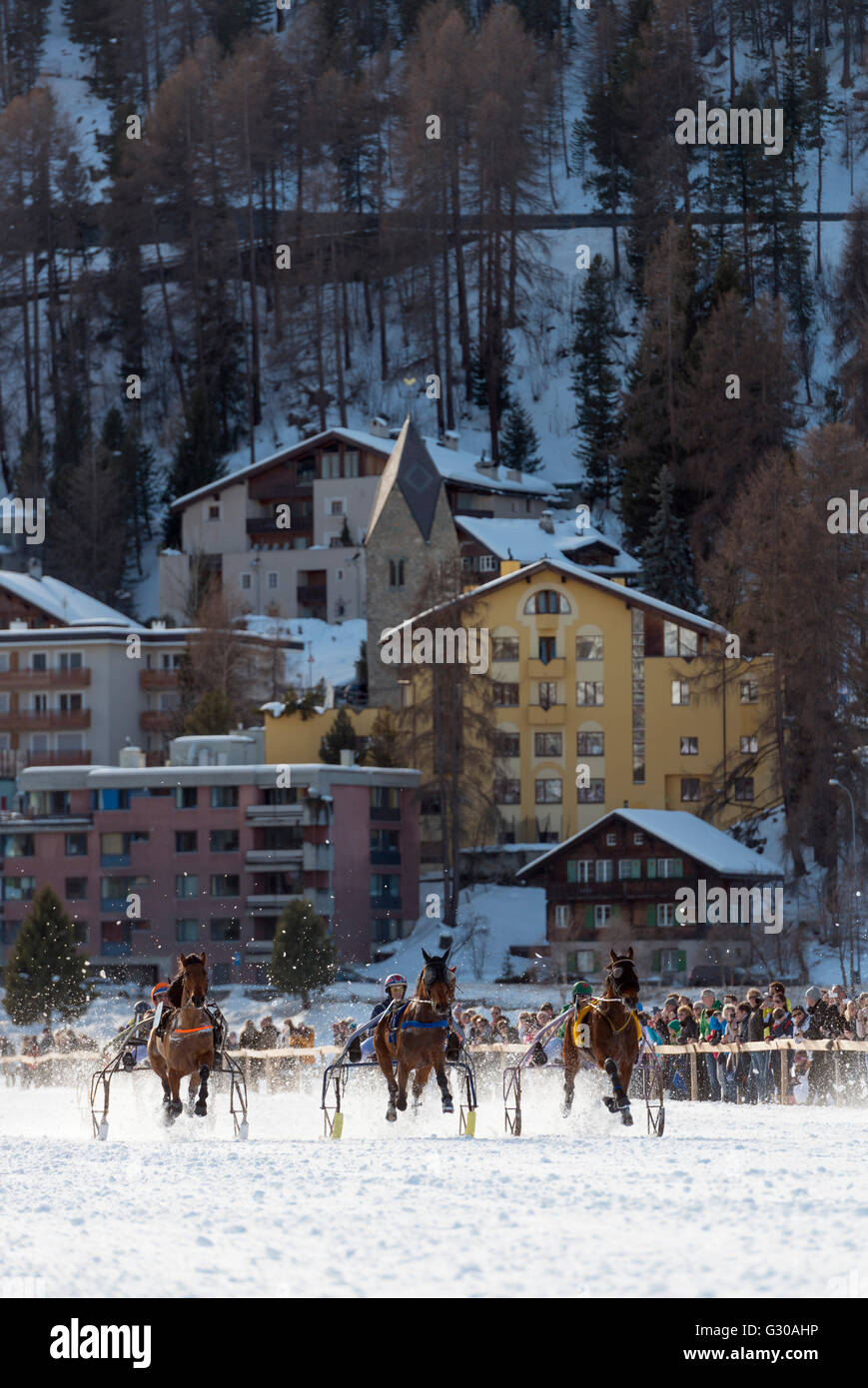 Trap Event, White Turf internationale Pferderennen, Winter, St. Moritz, Engadin, Graubünden, Schweiz, Europa Stockfoto