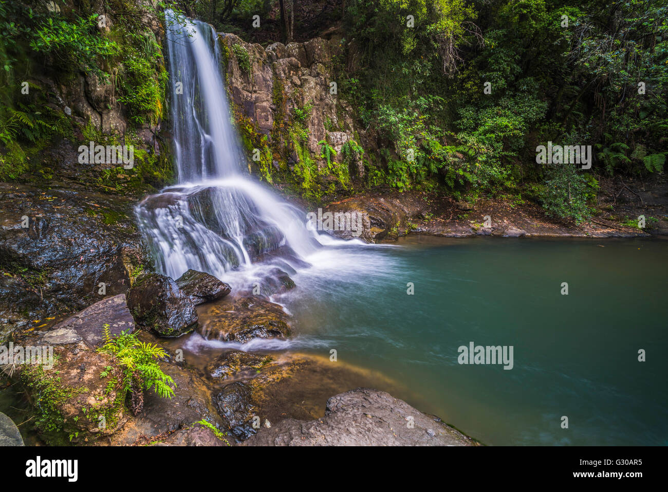 Waiau Falls, ein Wasserfall auf Straße 309, Coromandel Peninsula, North Island, Neuseeland, Pazifik Stockfoto