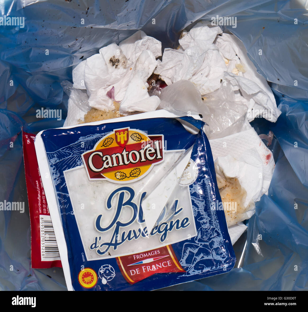 Cantorel Käse Bleu dAuvergne mit blauen Schimmel. Marke Cantorel ist Bestandteil der Les Fromageries Occitanes. Stockfoto