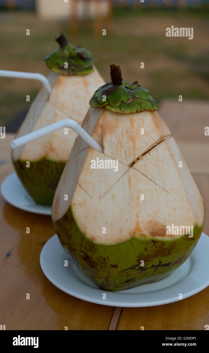 Junge Kokosnüsse liefern eine Refereshing feuchtigkeitsspendende Getränk in tropischen Regionen, in denen sie geerntet werden, wenn sie grün sind. Stockfoto