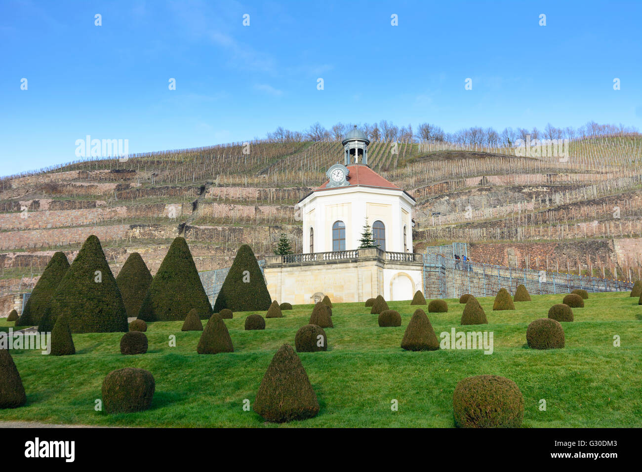 Belvedere auf Schloss Wackerbarth mit Weinbergen, Radebeul, Sachsen, Sachsen, Deutschland Stockfoto