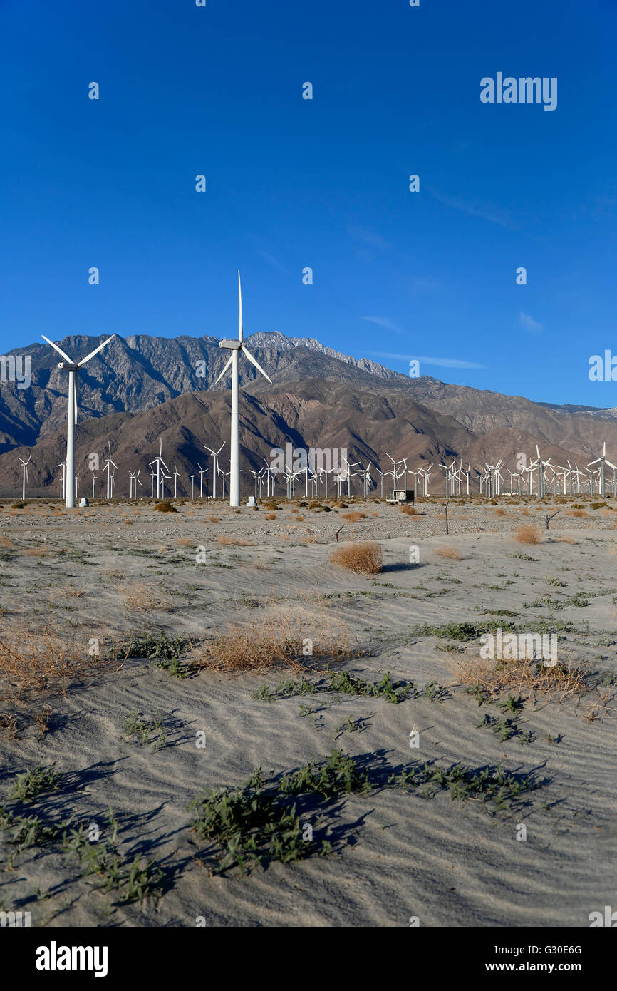 Windmühlen und San Jacinto Mountains (Mount San Jacinto, 10.831 ft.), San Gorgonio Pass Wind Farm, in der Nähe von Palm Springs, Kalifornien Stockfoto