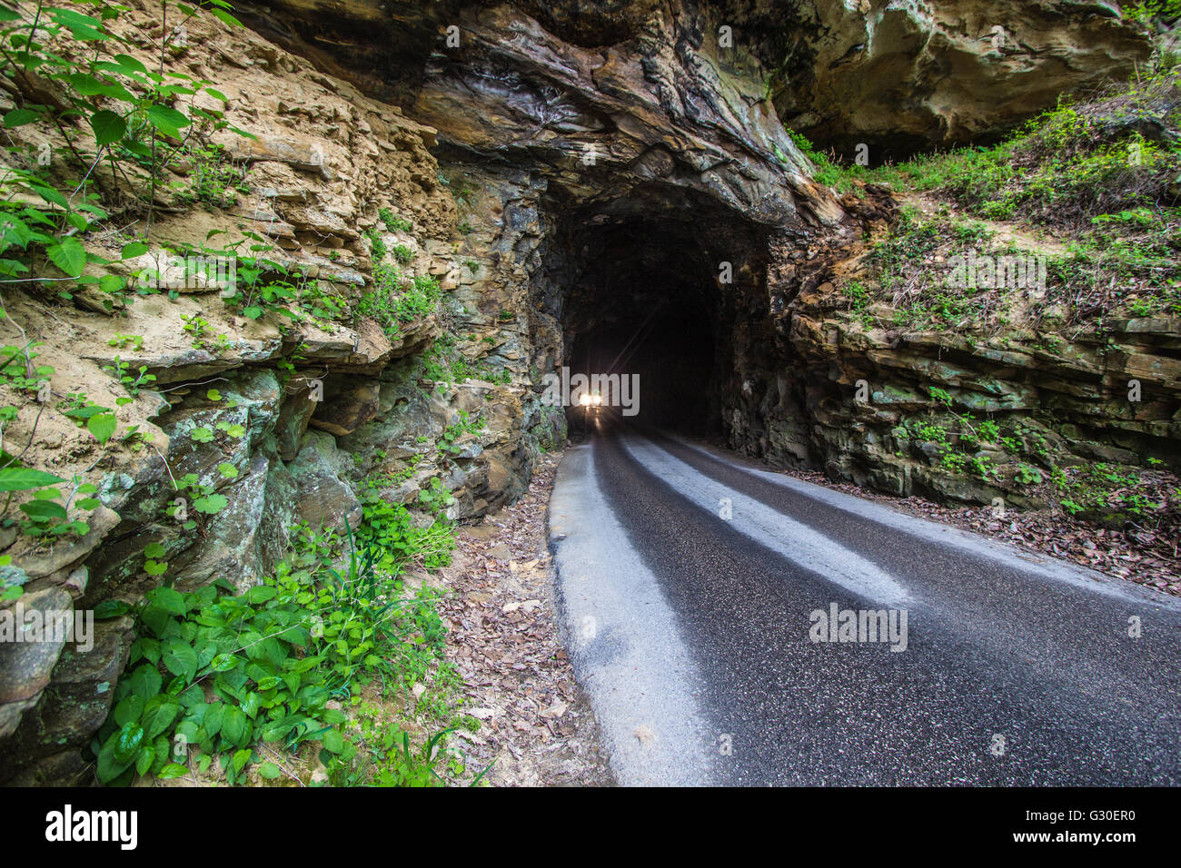 Der verwunschene Nada-Tunnel. Die 900 Fuß Nada Tunnel in der Red River Gorge in Kentucky. Stockfoto
