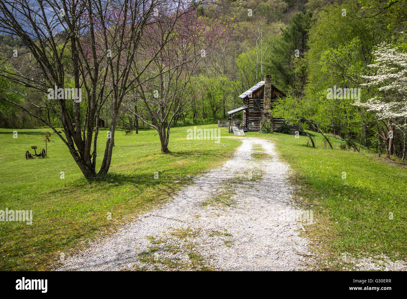 Historische Pionier Farm In Kentucky. Gladie historische Hütte im Daniel Boone National Forest in Kentucky. Dies ist eine historische l Stockfoto