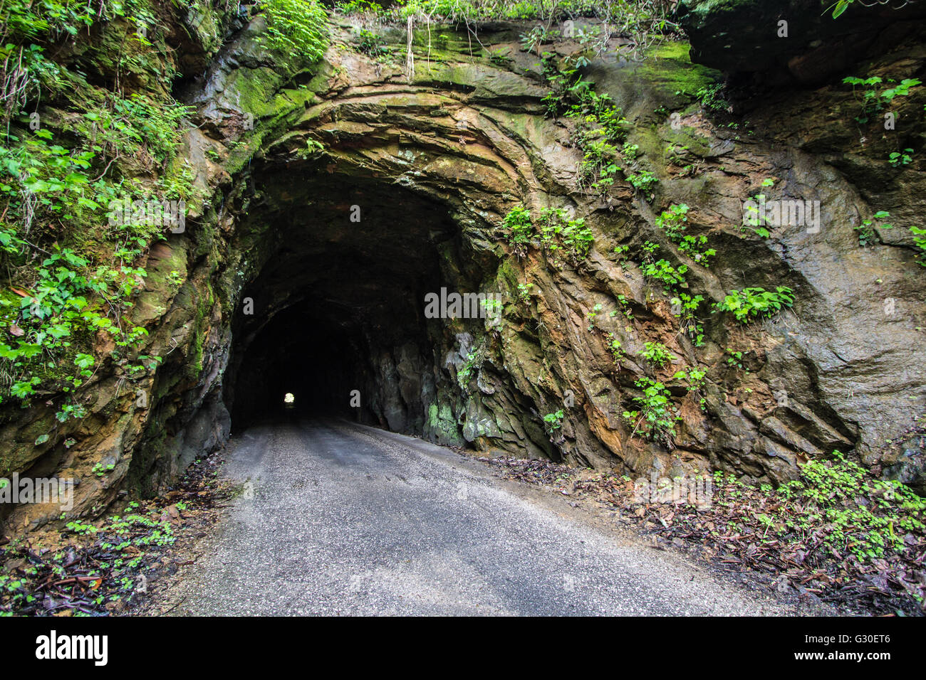 Die 900 Fuß Nada Tunnel in der Red River Gorge in Kentucky. Für den Verkehr geöffnet, die erschütternde Einweg-Tunnel ist eine Durchgangsstraße für Stockfoto