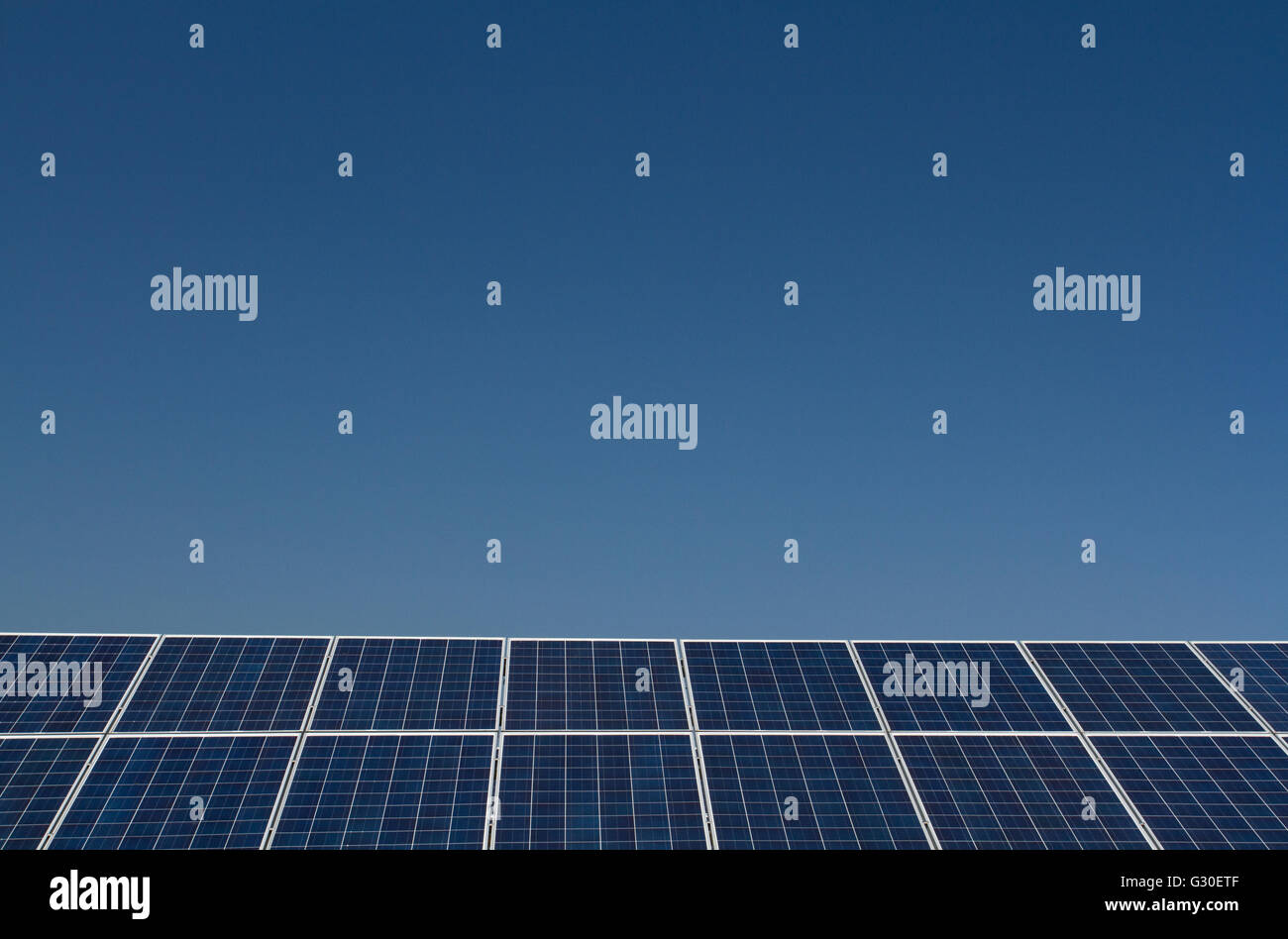 Eine lange Reihe von Solarzellen erzeugen saubere, erneuerbare Elektrizität unter einem klaren, blauen Himmel mit viel kopieren Raum über. Stockfoto