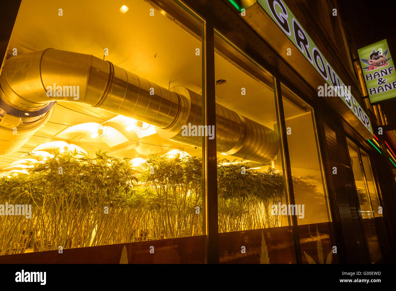 Cannabis & Hanf - Shop, ein Einzelhandelsgeschäft für Hanfpflanzen und wachsenden Zubehör, Österreich, Wien 02 wachsen., Wien, Wien Stockfoto