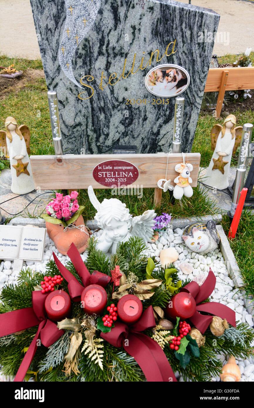 Tierfriedhof: Grab einer Katze, Österreich, Wien 11., Wien, Wien Stockfoto