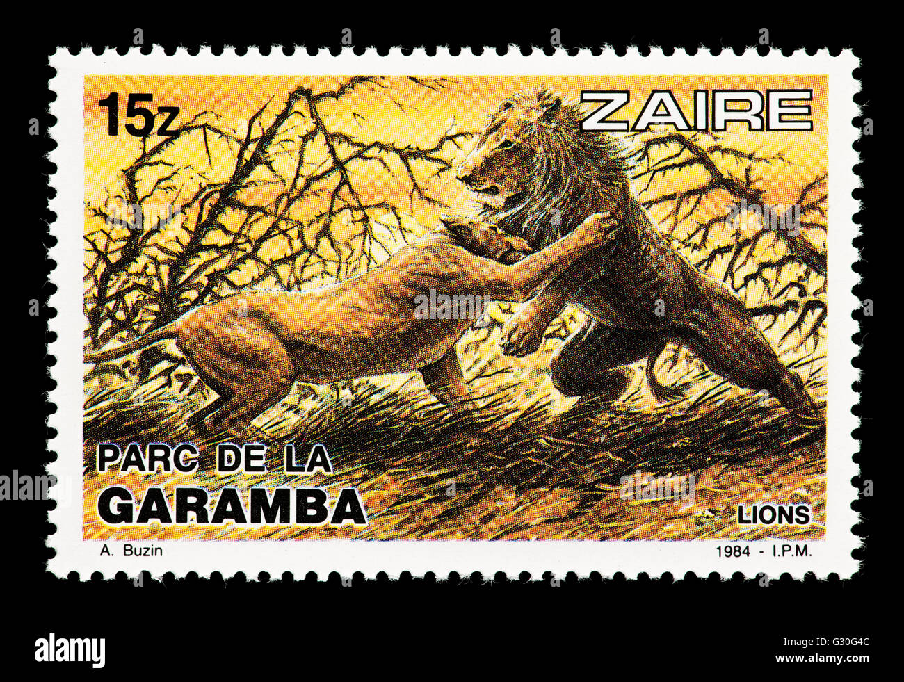 Briefmarke aus Zaire, die Darstellung von zwei Löwen kämpfen, ausgestellt für Garamba-Nationalpark im Kongo. Stockfoto