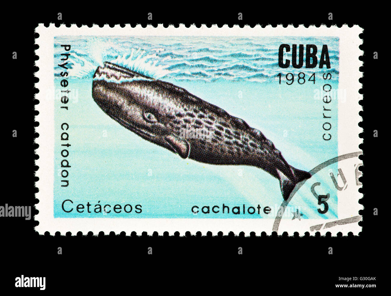 Briefmarke aus Kuba, die Darstellung eines Pottwals (Physeter Catodon) Stockfoto