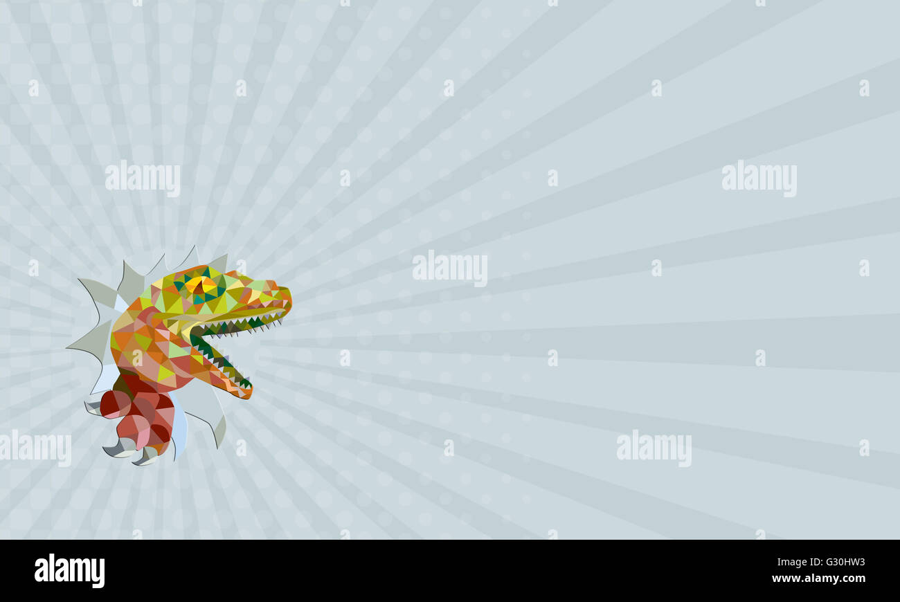 Visitenkarte zeigt niedrige Polygon Stil Abbildung von einem Raptor t-Rex Dinosaurier Echse Reptil ausbrechen Wand auf isolierten Stockfoto