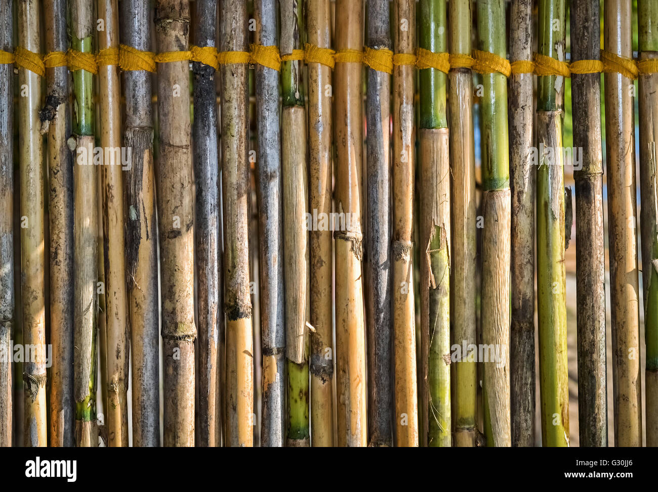 Nahaufnahme eines Teils der Bambuszaun mit einem gelben Seil gefesselt Stockfoto