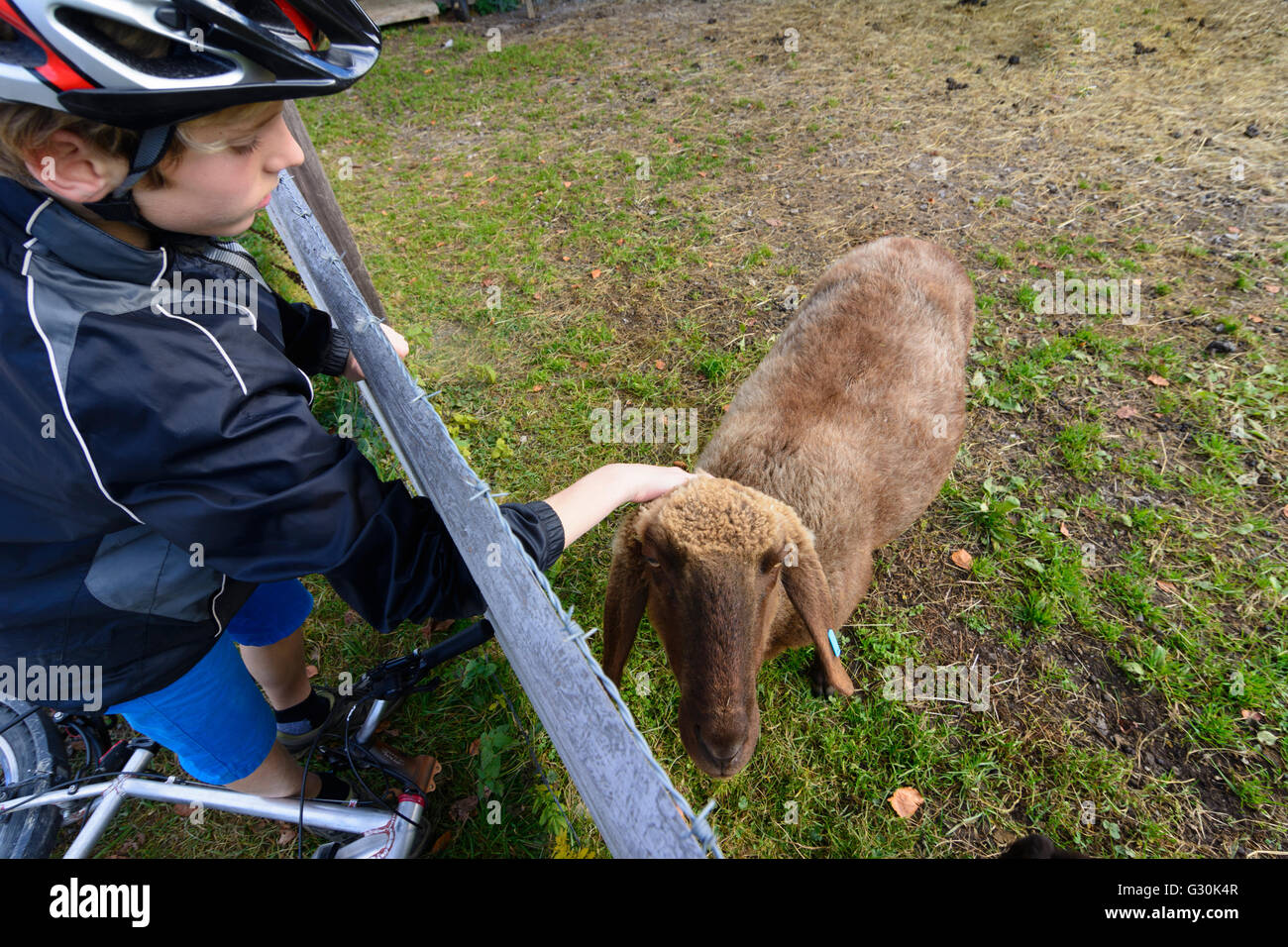 Junge mit Fahrrad streicheln ein Schaf, Deutschland, Bayern, Bayern, Oberbayern, Oberbayern, Farchant Stockfoto