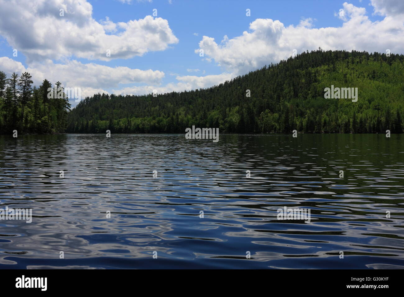 Dumoine River, Quebec, Kanada, zugänglich durch Wasser aus Treibholz Ontario Provincial Park, Juni 2016 Stockfoto