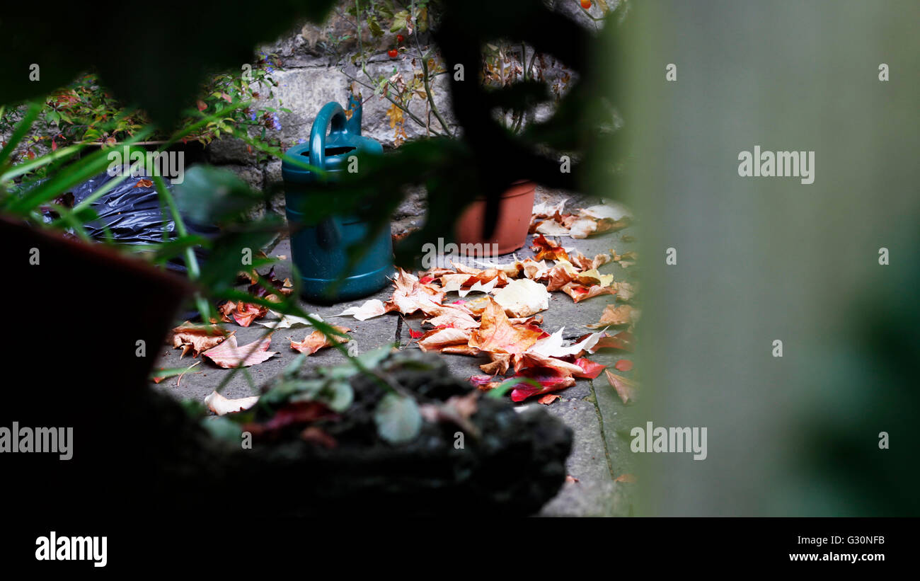 Anfang Herbst Blätter auf dem Garten Pflaster durch eine Holein den Zaun gesehen. Stockfoto