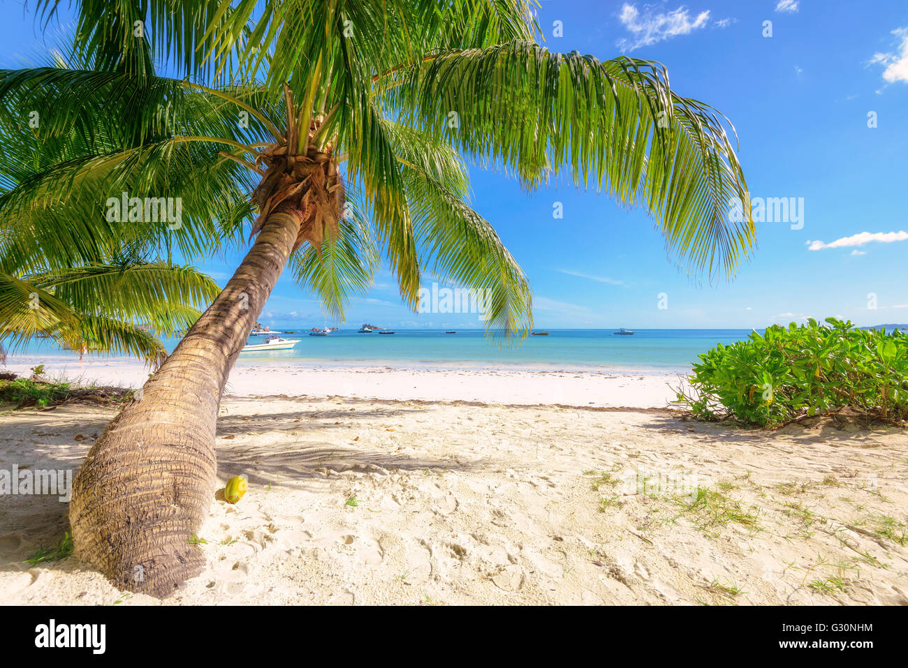 Schönen Seychellen Strand, Indischer Ozean, Afrika Stockfoto