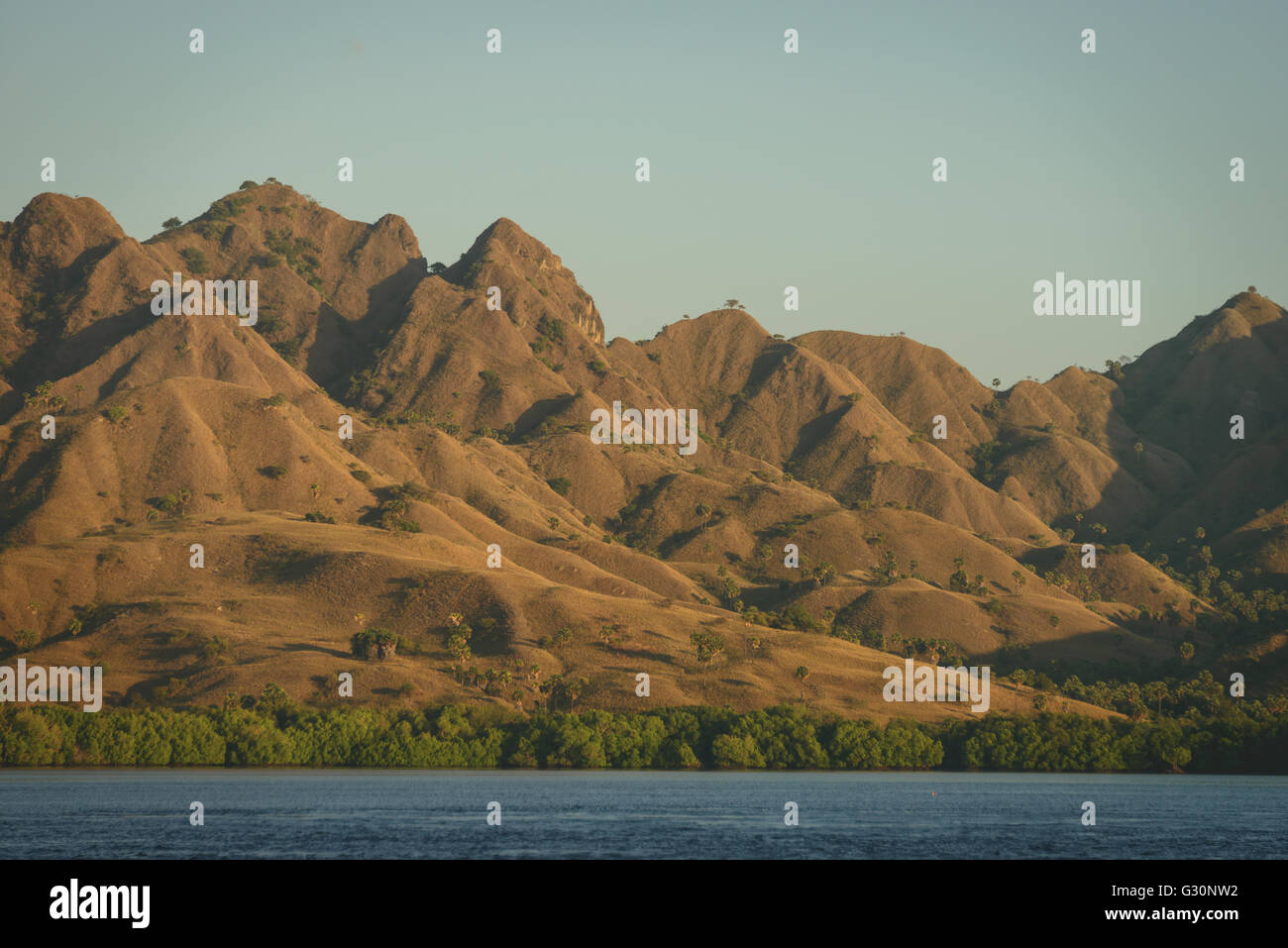 Hügel auf der Küste von Komodo Insel in Indonesien Stockfoto