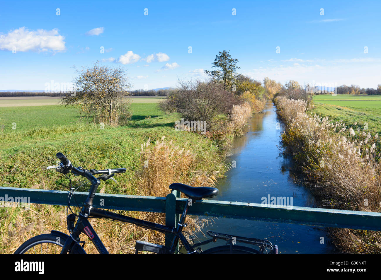 Creek Rußbach im Marchfeld mit Fahrrad, Österreich, Niederösterreich, Niederösterreich, Donau, Haringsee Stockfoto