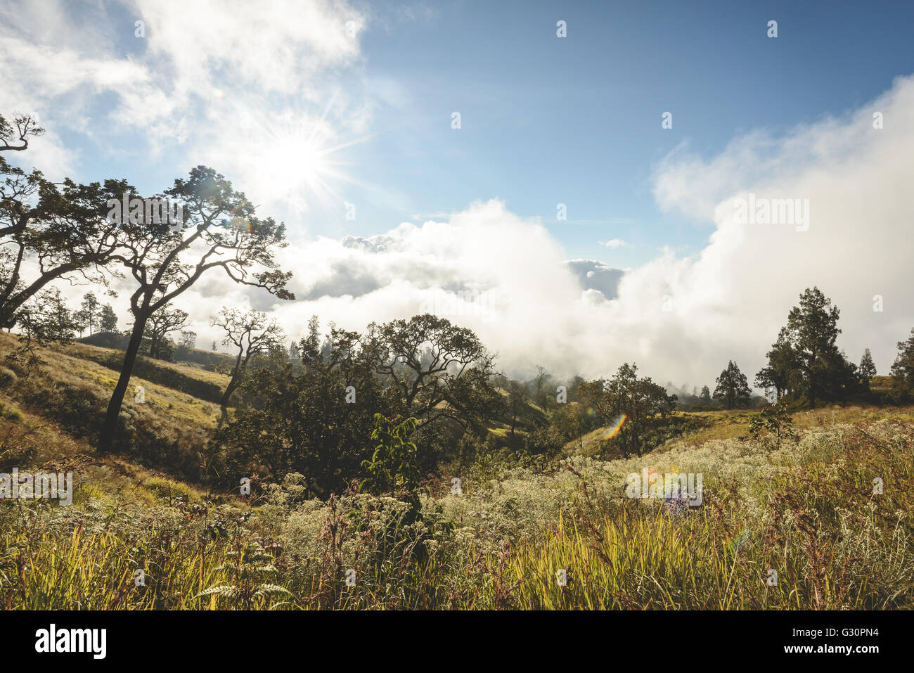 Mount Rinjani Vulkan wandern Stockfoto