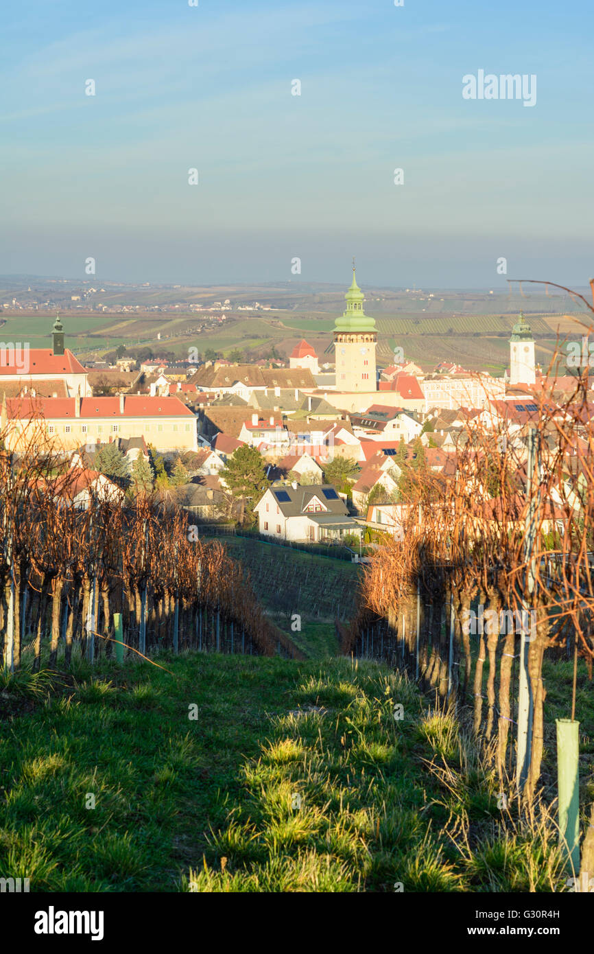 Blick über Weinberge, Niederösterreich, Niederösterreich, Weinviertel, Retz, Retz, Österreich Stockfoto