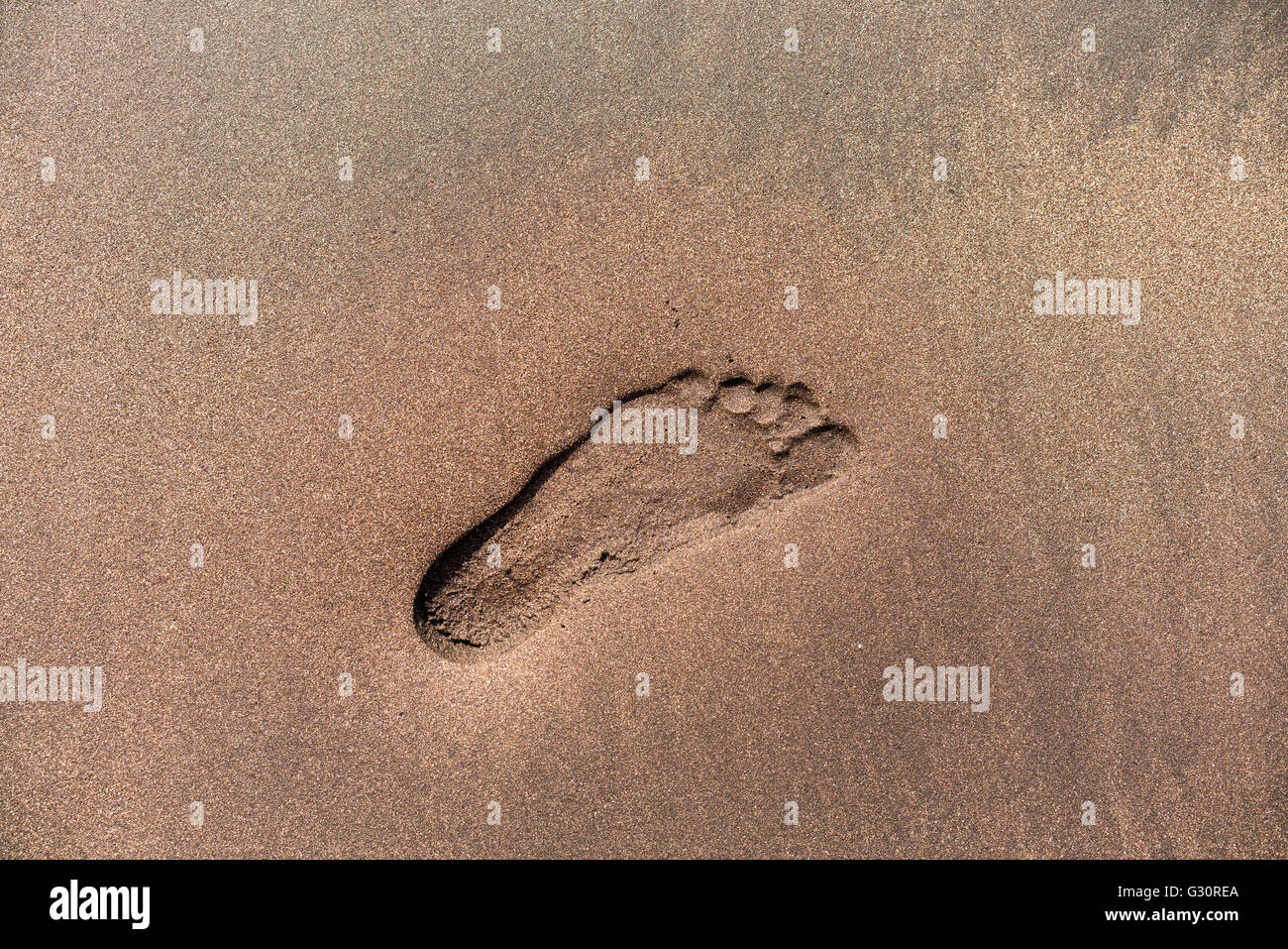 Menschlichen Fußabdruck und Details auf einem Sandstrand Stockfoto