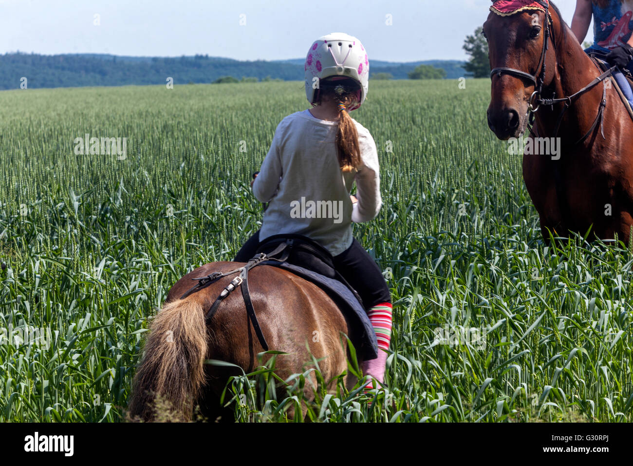 Reiten Sommer Landschaft junge Mädchen mit Pferden auf einer Wiese Stockfoto