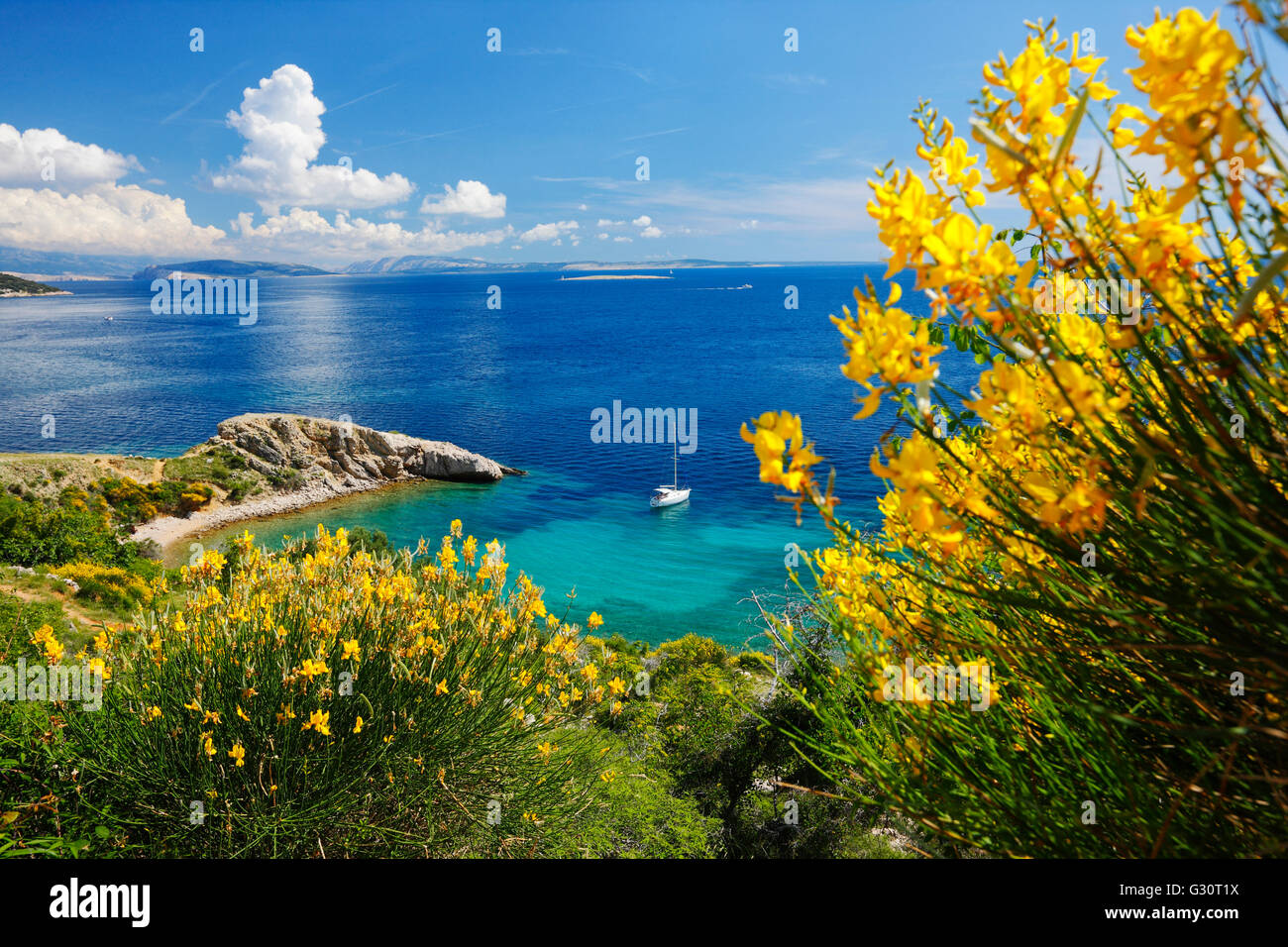Natur-Landschaft der felsigen Küste in Insel Krk, Kroatien Stockfoto